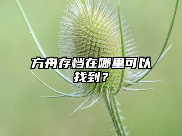 方舟存档在哪里可以找到？