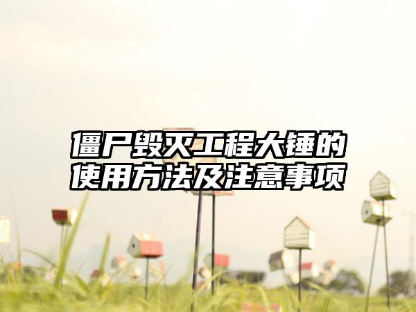 僵尸毁灭工程大锤的使用方法及注意事项