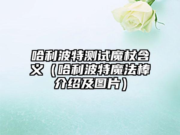 哈利波特测试魔杖含义（哈利波特魔法棒介绍及图片）