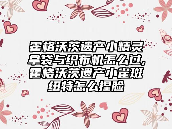 霍格沃茨遗产小精灵拿袋与织布机怎么过,霍格沃茨遗产小雀斑纽特怎么捏脸