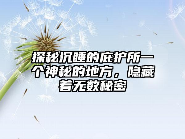 探秘沉睡的庇护所一个神秘的地方，隐藏着无数秘密