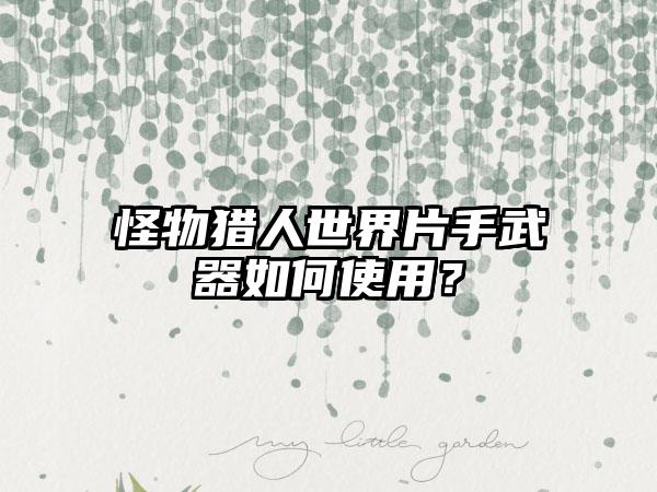 怪物猎人世界片手武器如何使用？