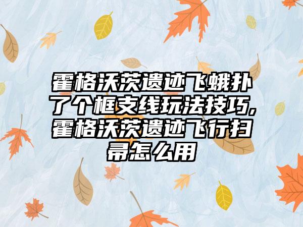霍格沃茨遗迹飞蛾扑了个框支线玩法技巧,霍格沃茨遗迹飞行扫帚怎么用