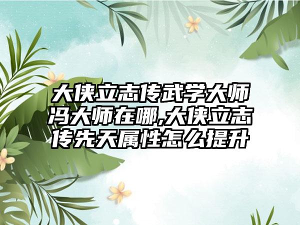 大侠立志传武学大师冯大师在哪,大侠立志传先天属性怎么提升
