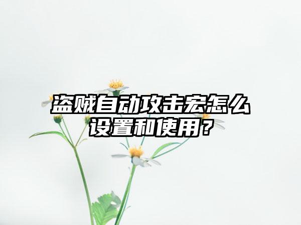盗贼自动攻击宏怎么设置和使用？