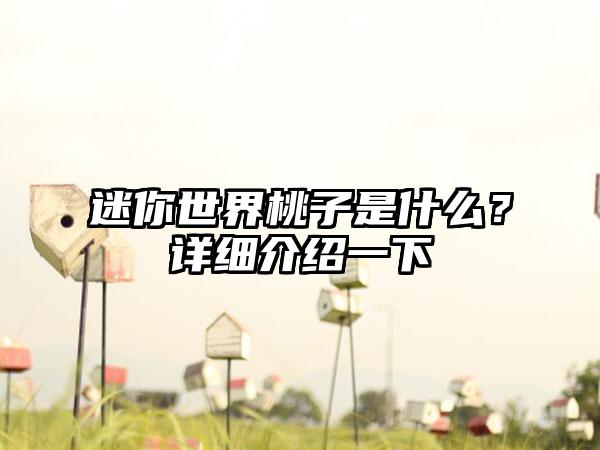 迷你世界桃子是什么？详细介绍一下