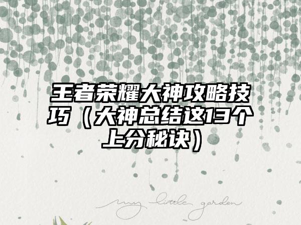 王者荣耀大神攻略技巧（大神总结这13个上分秘诀）