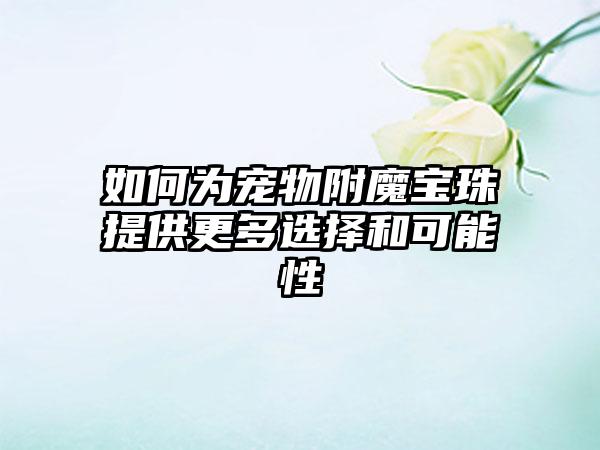 如何为宠物附魔宝珠提供更多选择和可能性