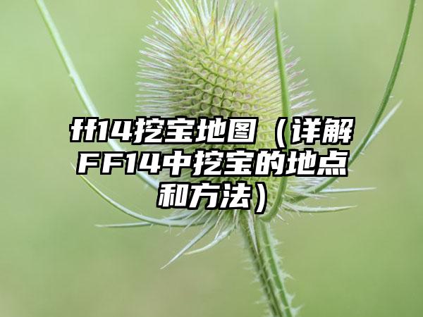 ff14挖宝地图（详解FF14中挖宝的地点和方法）
