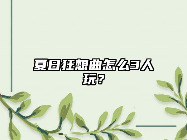 夏日狂想曲怎么3人玩？