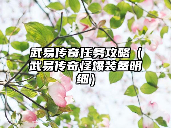 武易传奇任务攻略（武易传奇怪爆装备明细）