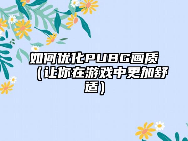 如何优化PUBG画质（让你在游戏中更加舒适）