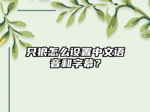 只狼怎么设置中文语音和字幕？