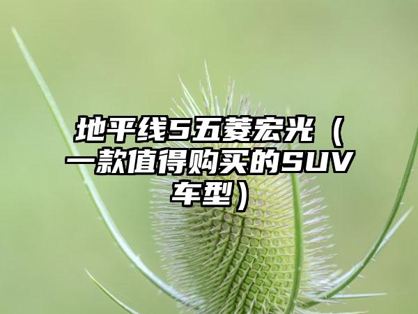 地平线5五菱宏光（一款值得购买的SUV车型）