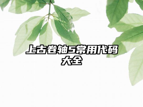 上古卷轴5常用代码大全