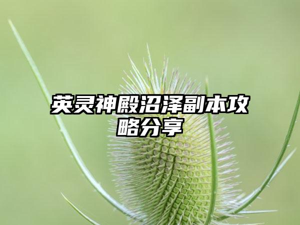 英灵神殿沼泽副本攻略分享