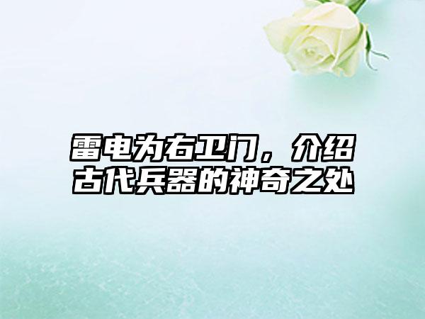 雷电为右卫门，介绍古代兵器的神奇之处