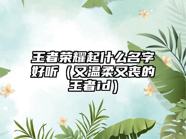 王者荣耀起什么名字好听（又温柔又丧的王者id）