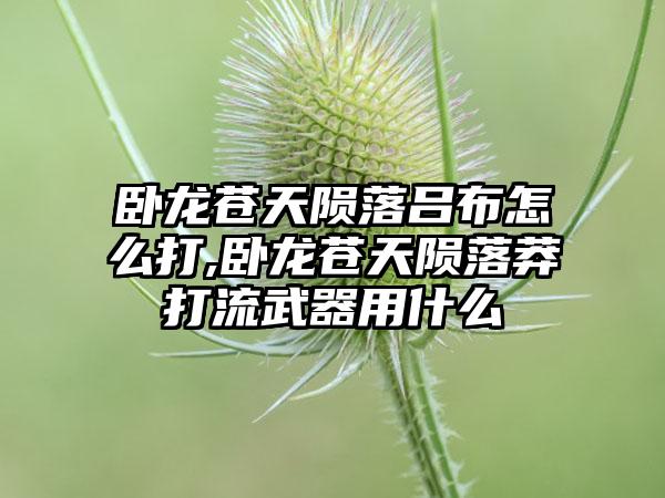 卧龙苍天陨落吕布怎么打,卧龙苍天陨落莽打流武器用什么
