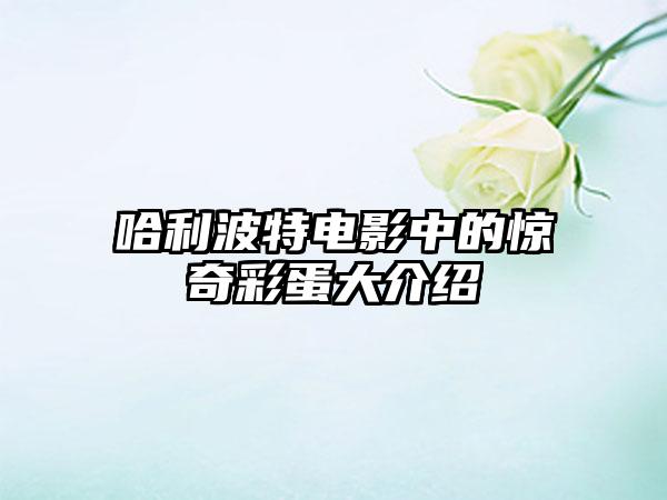 哈利波特电影中的惊奇彩蛋大介绍