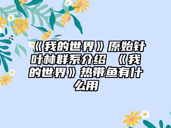 《我的世界》原始针叶林群系介绍 《我的世界》热带鱼有什么用