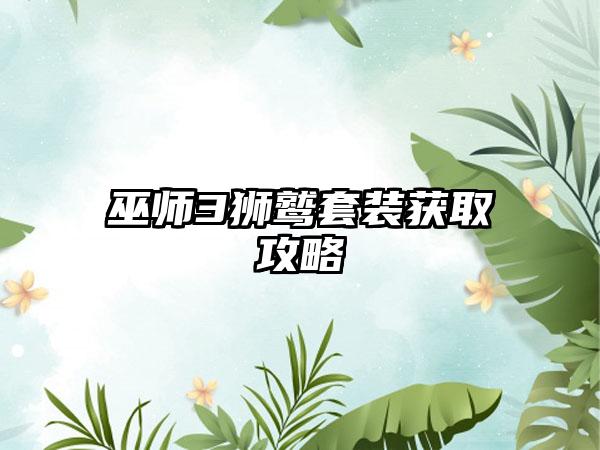 巫师3狮鹫套装获取攻略