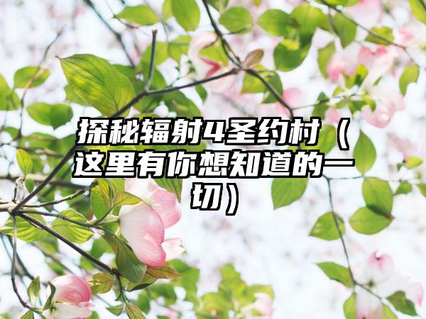 探秘辐射4圣约村（这里有你想知道的一切）