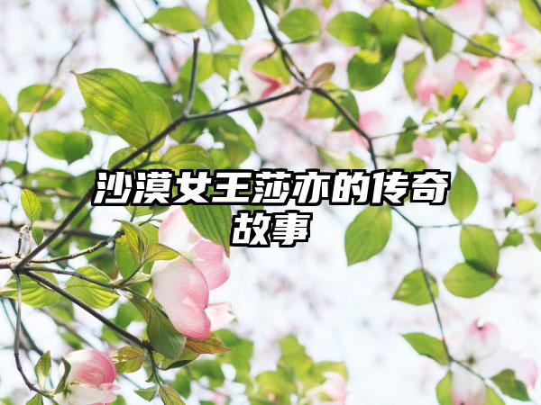 沙漠女王莎亦的传奇故事