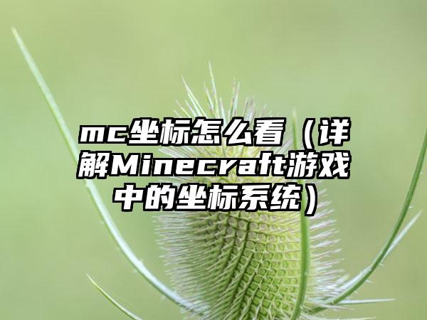 mc坐标怎么看（详解Minecraft游戏中的坐标系统）