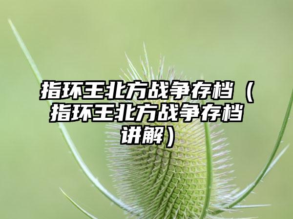 指环王北方战争存档（指环王北方战争存档讲解）