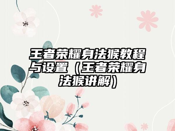 王者荣耀身法猴教程与设置（王者荣耀身法猴讲解）