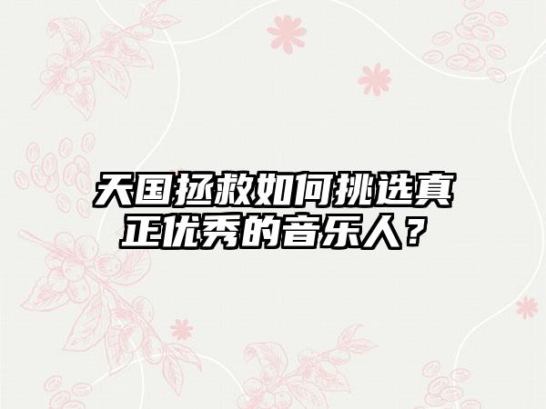 天国拯救如何挑选真正优秀的音乐人？