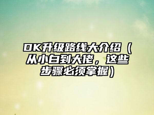 DK升级路线大介绍（从小白到大佬，这些步骤必须掌握）