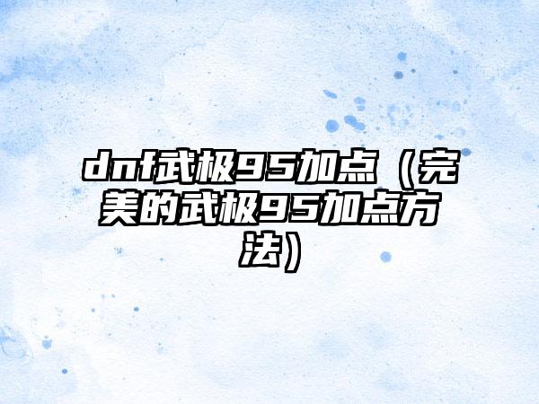 dnf武极95加点（完美的武极95加点方法）
