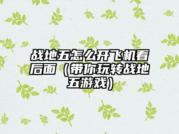 战地五怎么开飞机看后面（带你玩转战地五游戏）