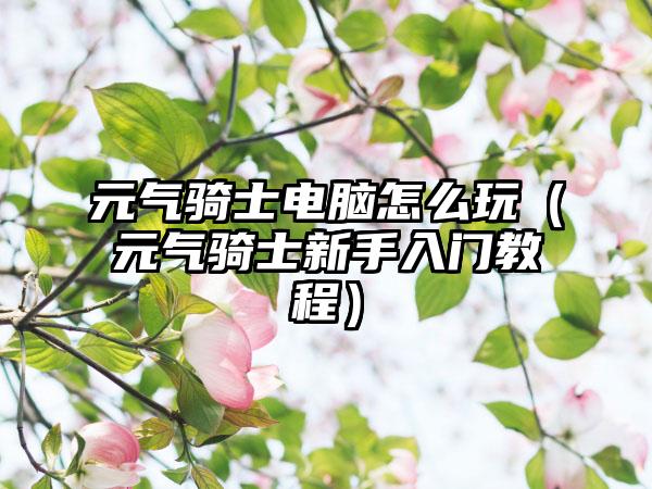 元气骑士电脑怎么玩（元气骑士新手入门教程）