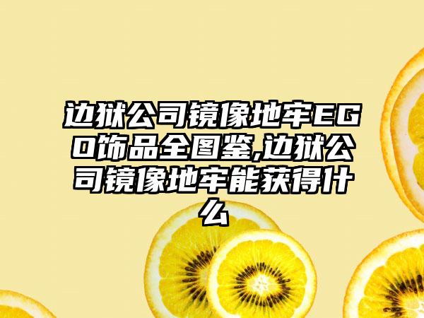 边狱公司镜像地牢EGO饰品全图鉴,边狱公司镜像地牢能获得什么