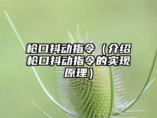 枪口抖动指令（介绍枪口抖动指令的实现原理）