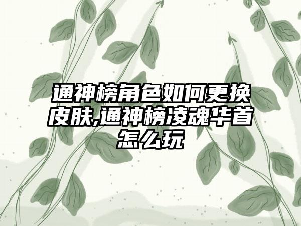 通神榜角色如何更换皮肤,通神榜凌魂华首怎么玩