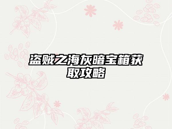 盗贼之海灰暗宝箱获取攻略