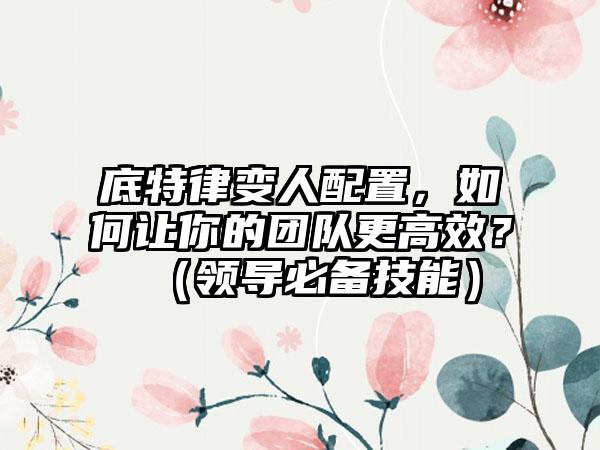 底特律变人配置，如何让你的团队更高效？（领导必备技能）