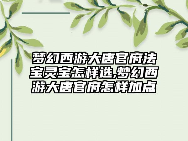 梦幻西游大唐官府法宝灵宝怎样选,梦幻西游大唐官府怎样加点