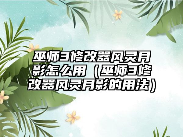 巫师3修改器风灵月影怎么用（巫师3修改器风灵月影的用法）