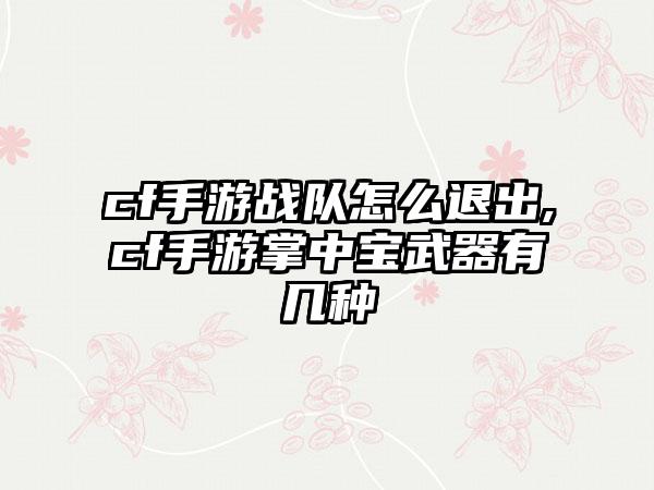 cf手游战队怎么退出,cf手游掌中宝武器有几种