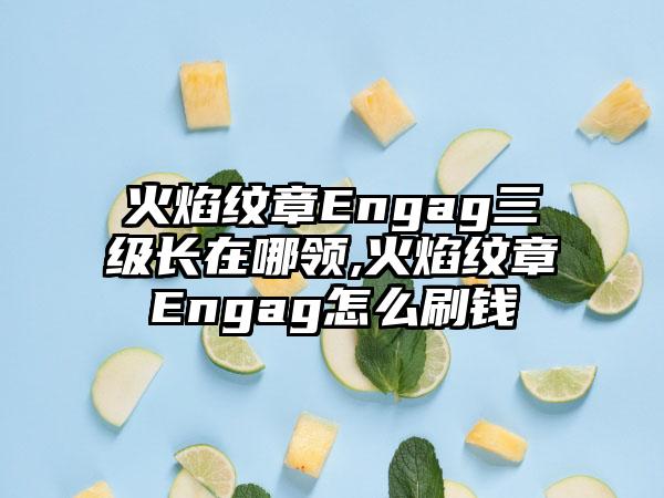 火焰纹章Engag三级长在哪领,火焰纹章Engag怎么刷钱