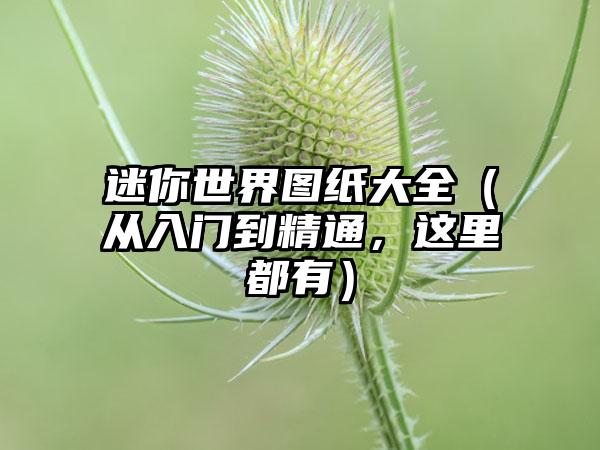 迷你世界图纸大全（从入门到精通，这里都有）