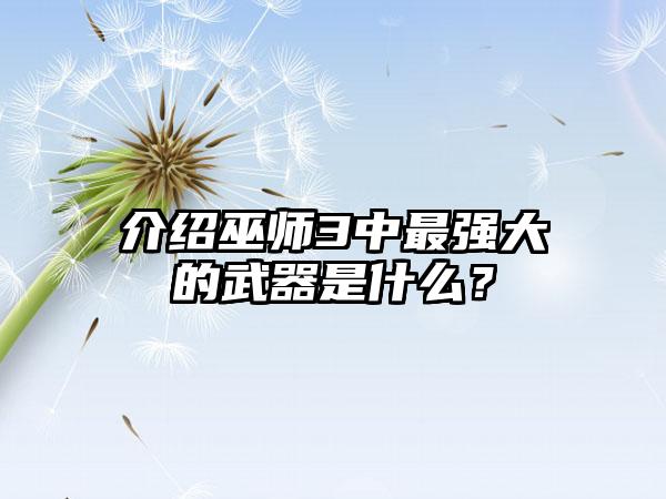 介绍巫师3中最强大的武器是什么？