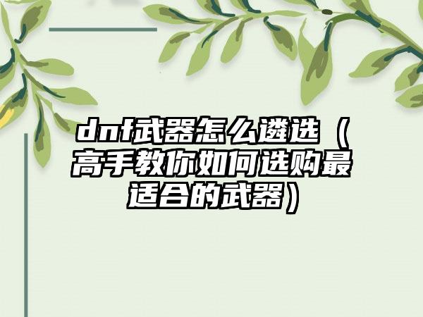 dnf武器怎么遴选（高手教你如何选购最适合的武器）