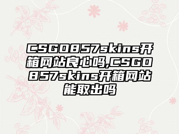 CSGO857skins开箱网站良心吗,CSGO857skins开箱网站能取出吗