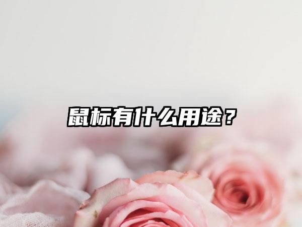 鼠标有什么用途？